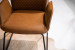 Shaw Dining Chair - Tan -