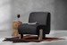 Takara Chair - Ebony Occasional Chairs - 2