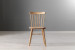 Camille Dining Chair Dining Chairs - 2