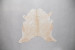 Brazilian Cow Hide - Medium Hides - 2