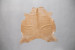 Brazilian Cow Hide - Medium Hides - 2