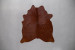 Brazilian Cow Hide - Medium Hides - 2