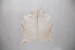 Brazilian Cow Hide - Medium Hides - 2