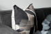 Mankind Monochrome - Duck Feather Scatter Cushion Scatter Cushions - 4