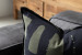 Tankwa Aloe - Duck Feather Scatter Cushion Square Scatter Cushions - 6