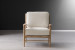 Colton Armchair - Mist Armchairs - 2