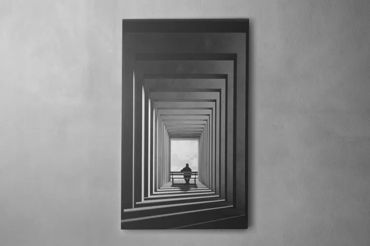 Illusion Canvas Art