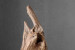 Ruva Wooden Sculpture Sculptural Art - 5