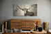 Premium Canvas - Texas Longhorn Abstract - Large Canvas Art - 1