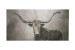 Premium Canvas - Texas Longhorn Abstract - Large Canvas Art - 2